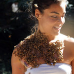 Maryam Henein discusses her film, The Vanishing of the Bees on the Food Heals Podcast and gives advice to heal naturally from an auto-immune condition.