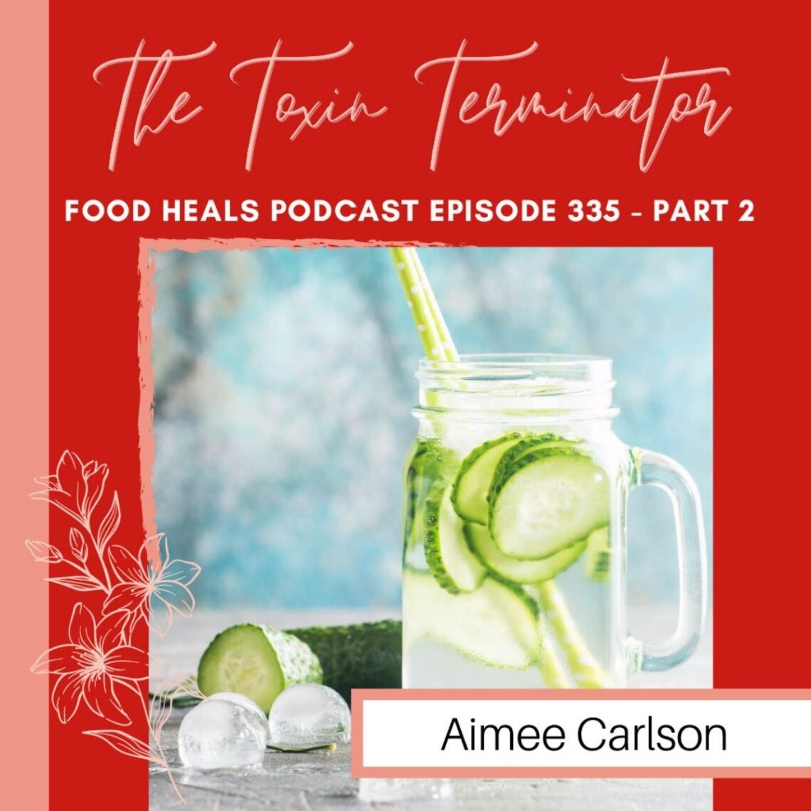 335: Detox 101: Top Ways to Detox Your Minday, Body, and Household