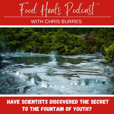 Chris Burres is the owner of SES Research, the first company to deliver carbon nano materials, and MyVitalC, the world's first nano antioxidant. Today Chris stops by The Food Heals Podcast.