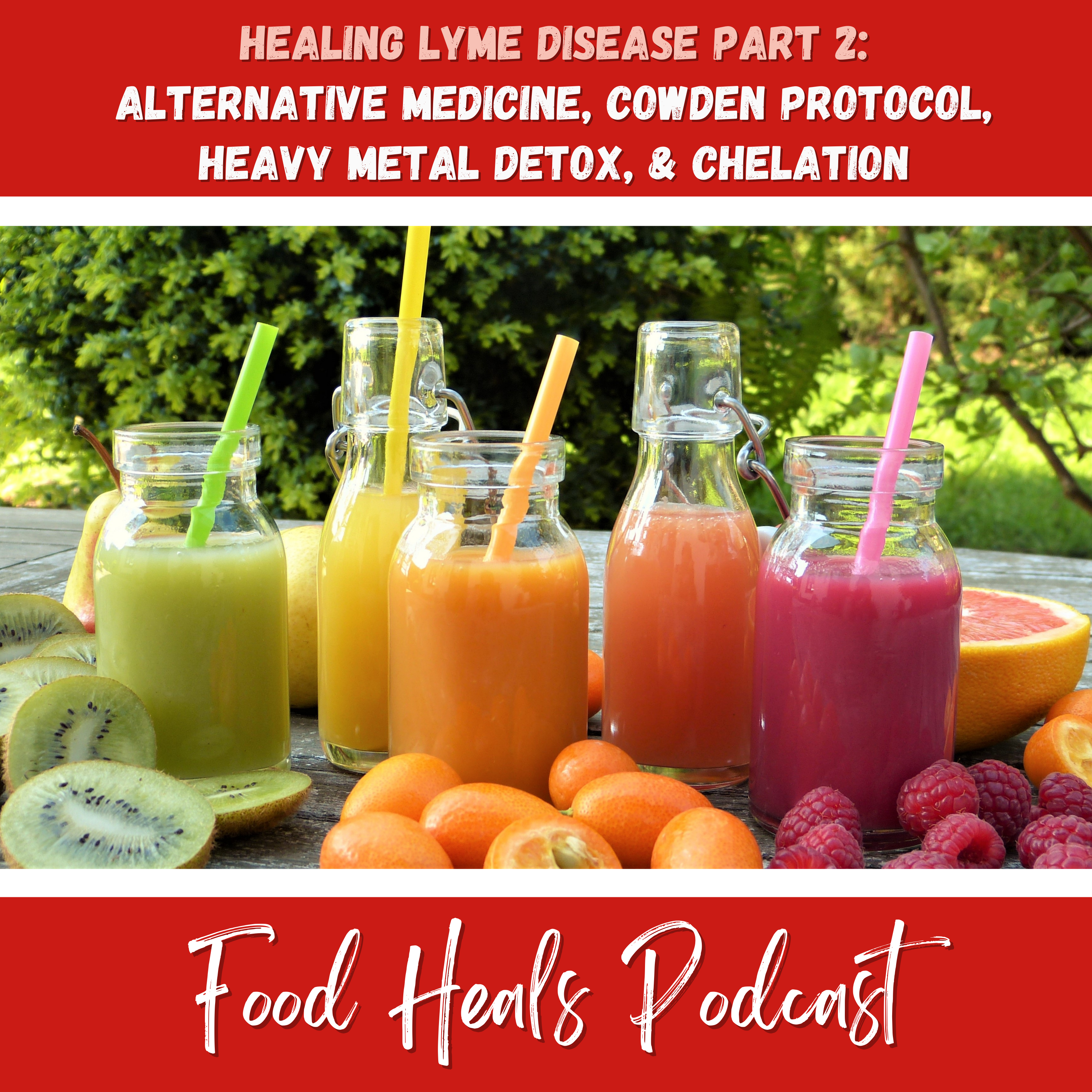 416: Healing Lyme: Testing For the MTHFR Gene, The FODMAP Diet, Candida & Bacterial Optimizer Protocol, and More! (Healing Lyme Disease Series Part 3 Food Heals Podcast)